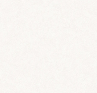 Hygge Roll Made in Russia MIR5 001 для спальни для гостиной для кабинета для загородного дома для комнаты для прихожей белый светло-серый